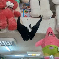 بال فرشته