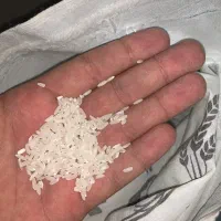 برنج محلی کشت امسال|خوردنی و آشامیدنی|اندیمشک, |دیوار