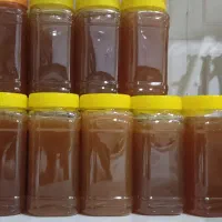 عسل کنار اعلا و درجه یک|خوردنی و آشامیدنی|بندر دیر, |دیوار