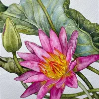 آموزش طراحی و نقاشی