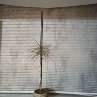 پرده زبرا پارچه ترک درجه یک نو|پرده، رانر، رومیزی|فردیس, شهرک ارم|دیوار