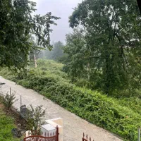 کلبه سوئیسی جنگلی|اجارهٔ کوتاه‌مدت ویلا و باغ|شیرگاه, |دیوار