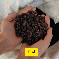 پخش کشمش|خوردنی و آشامیدنی|تبریز, |دیوار