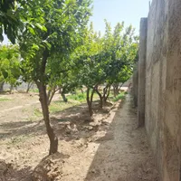 فروش ۹۵۰ متر باغ چهاردیواری در تهران‌سر|فروش دفتر صنعتی، کشاورزی، تجاری|تهران, تهران‌سر|دیوار