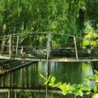 لذت یک سبک مدرن و سنتی|فروش خانه و ویلا|شمشک, |دیوار