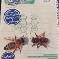 سه کتاب هرکدام 500000 هزار تومان