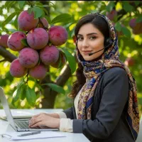 فروش نهال گردو بادام سیب سنجد صنوبر پسته فندق به