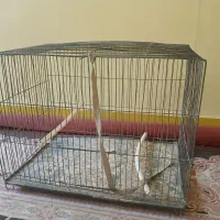 قفس پرنده
