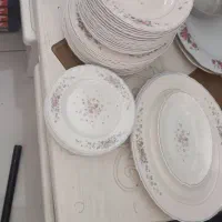 فروش و خریدار آرکوپال فرانسه|ظروف سرو و پذیرایی|اصفهان, باغ دریاچه|دیوار