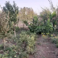 باغ نقلی با سند رسمی