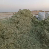 یونجه درجه یک|خدمات باغبانی و درختکاری|اصفهان, خواجو|دیوار