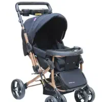 کالسکه دلیجان وکریر