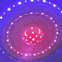 انجام خدمات گچکاری و گچبری|خدمات پیشه و مهارت|بردسیر, |دیوار