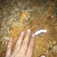 تعمیر وترمیم مخزن های فلزی وبتنی