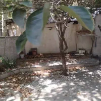 666مترکلنگی قابل سکونت888متربنا زیرقیمت زعفرانیه|فروش خانه و ویلا|تهران, زعفرانیه|دیوار