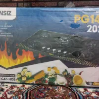 گاز صفحه ای  شیشه ای