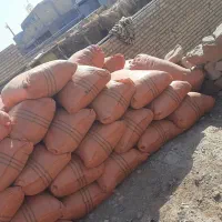 کاه لوبیا چیتی|لوازم جانبی حیوانات|شوشتر, |دیوار