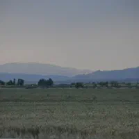 فروش و اجاره ده هکتار|فروش دفتر صنعتی، کشاورزی، تجاری|دهرم, |دیوار