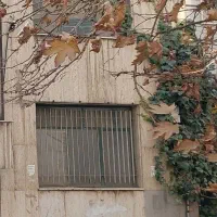 امیرآباد ،سین دخت شمالی