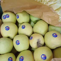 حراج میوه فقط امروز