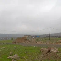 نیرو کارگر جهت گاوداری گوشتی