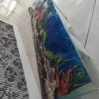 آکواریم و سنگ اپن درجه یک