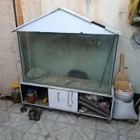 اکواریوم ،آگواریوم