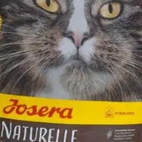 نیاز وسایل گربه