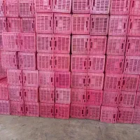 سبد حمال درجه یک