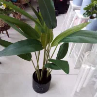 انواع گل های  طبیعی و مصنوعی  در گلکده فلورا