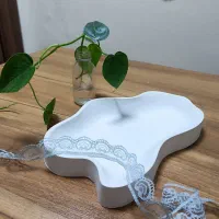 ماکت ظروف پلی استر