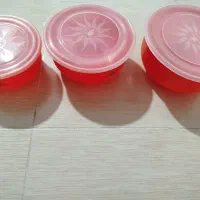 ظروف نگهدارنده