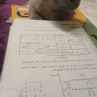 تدریس خصوصی ریاضی/هندسه/تیزهوشان/مدارس ویژه