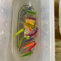 اکواریوم و ماهی و لوازمات