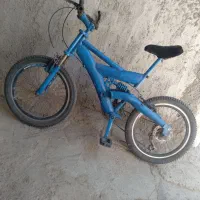 دوچرخه اولپیک ۲۴ ترو تمیز