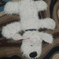 میز تحریر کودک و عروسک سگ و جاروبرقی|اسباب و اثاث بچه|مشکیندشت, |دیوار