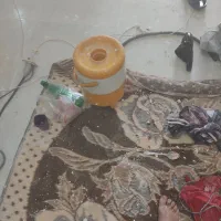 لکه گیری و گچکاری کامل|خدمات پیشه و مهارت|قم, سراجه (۱۵ خرداد)|دیوار