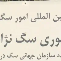 کارگر خدماتی سگ