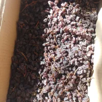 کشمش، سایه خشک، مویز، شیره انگور فرخی|خوردنی و آشامیدنی|اسدآباد, |دیوار