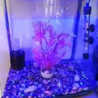 آکواریوم شرکتیJEBO|ماهی|تبریز, |دیوار