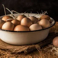 تخم مرغ
