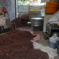 حدود۲تون کشمش افتابی