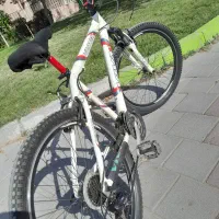 دوچرخه ویوا ۲۶ آلومینیومی اصل|دوچرخه، اسکیت، اسکوتر|اردبیل, |دیوار