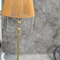 اباژور ایستاده صحیح و سالم