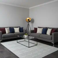 فرش مدرن برجسته