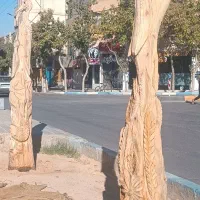 سفارش ساخت مجسمه چوبی در ابعاد مختلف|صنایع دستی و سایر لوازم تزئینی|شاهین‌شهر, حافظ جنوبی|دیوار