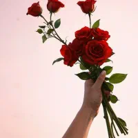 شب یلدا|تور و چارتر|نیشابور, دارایی|دیوار