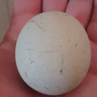 سنگ الماس آسیاب
