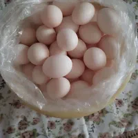 تخم مرغ محلی تازه
