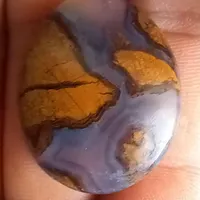 انگشتر معاوضه با پرنده